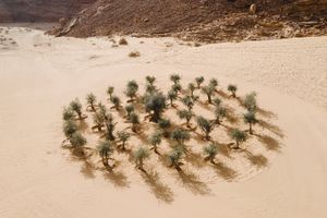 Khalil Rabah, _Grounding_. Exhibition view: Desert X AlUla 2022 (11 February–30 March 2022). Courtesy the artist and Desert X AlUla. Photo: Lance Gerber.
